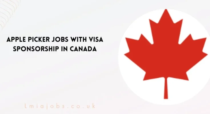 Apple Picker Jobs in Canada