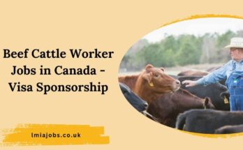 Beef Cattle Worker Jobs in Canada - Visa Sponsorship