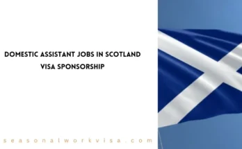 Domestic Assistant Jobs in Scotland