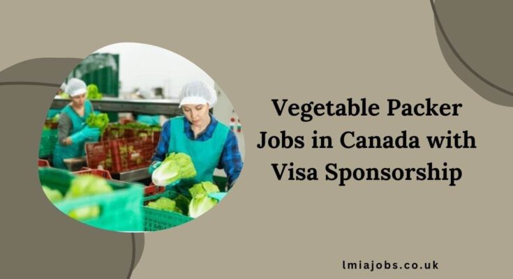 Vegetable Packer Jobs in Canada with Visa Sponsorship