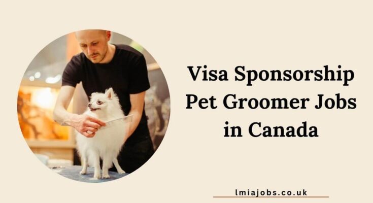 Visa Sponsorship Pet Groomer Jobs in Canada