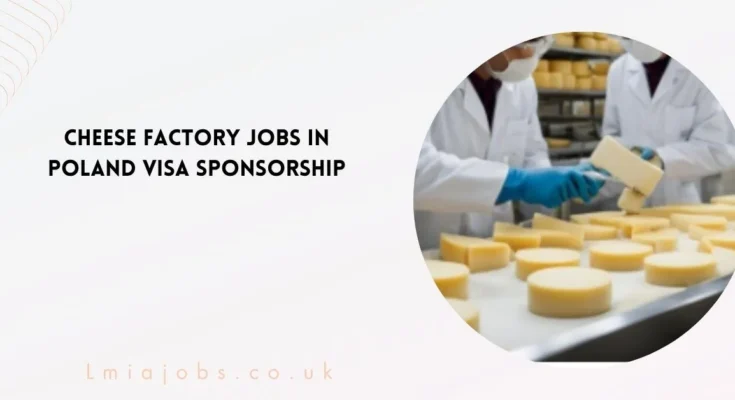 Cheese Factory Jobs in Poland