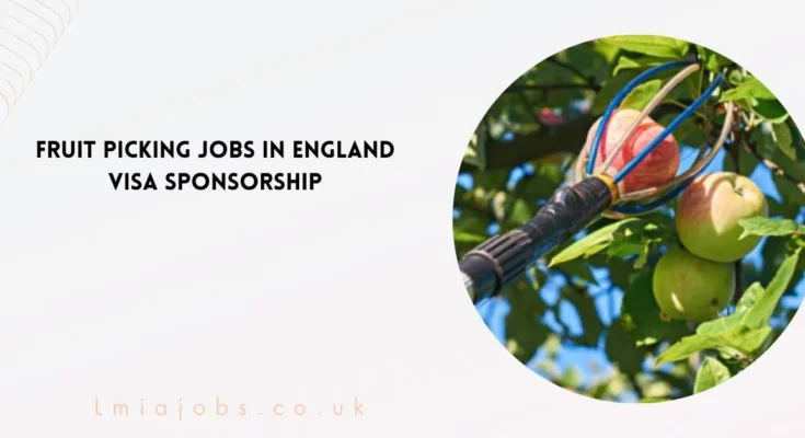 Fruit Picking Jobs in England