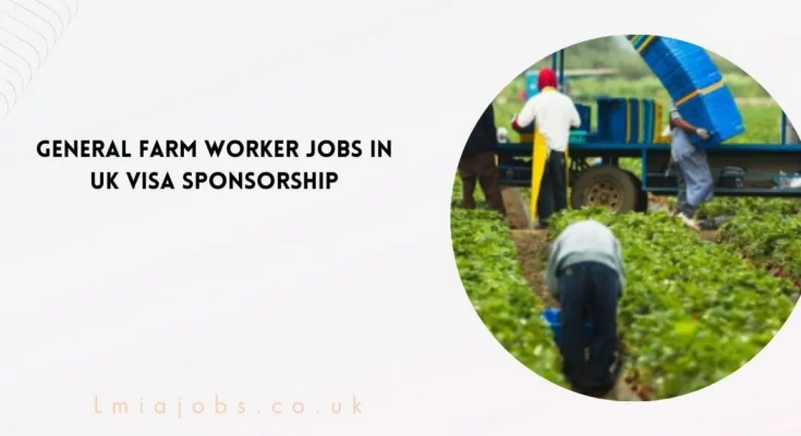 General Farm Worker Jobs in UK