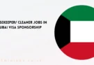 Housekeeper Cleaner Jobs in Dubai