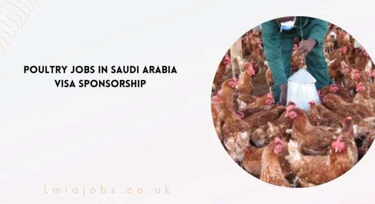 Poultry Jobs in Saudi Arabia