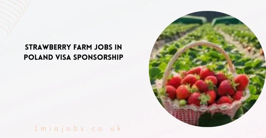 Strawberry Farm Jobs in Poland