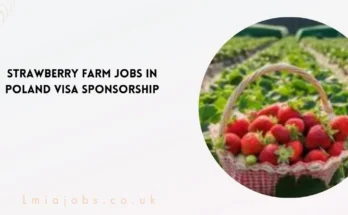 Strawberry Farm Jobs in Poland