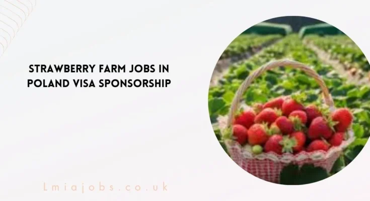 Strawberry Farm Jobs in Poland