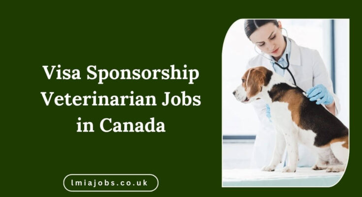 Visa Sponsorship Veterinarian Jobs in Canada