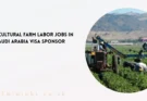 Agricultural Farm Labor Jobs in Saudi Arabia