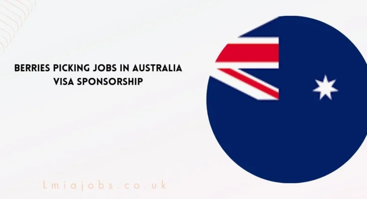 Berries Picking Jobs in Australia