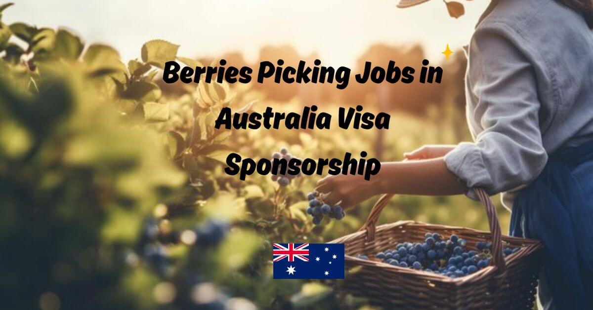 Berries Picking Jobs in Australia