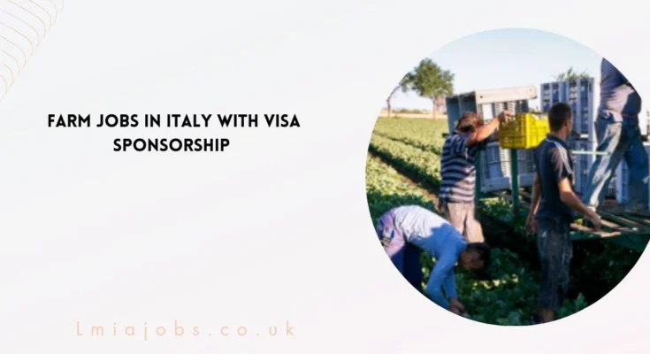 Farm Jobs in Italy