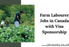 Farm Labourer Jobs in Canada with Visa Sponsorship