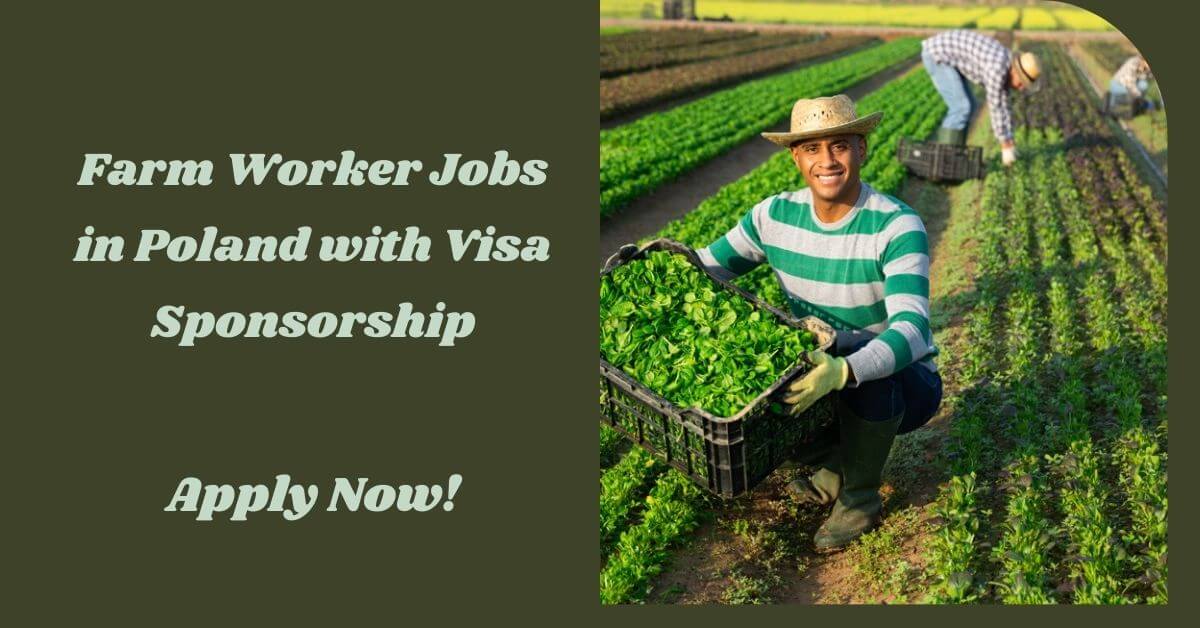 Farm Worker Jobs in Poland with Visa Sponsorship