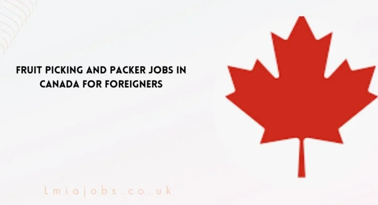 Fruit Picking and Packer Jobs in Canada