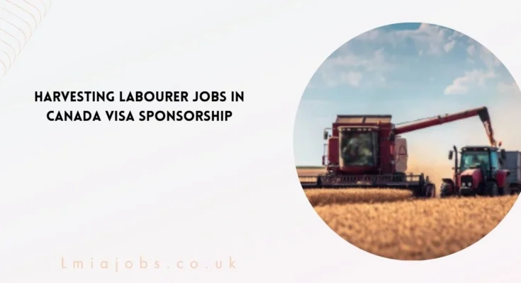 Harvesting Labourer Jobs in Canada