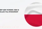 Sheep Farm Workers Jobs in Poland