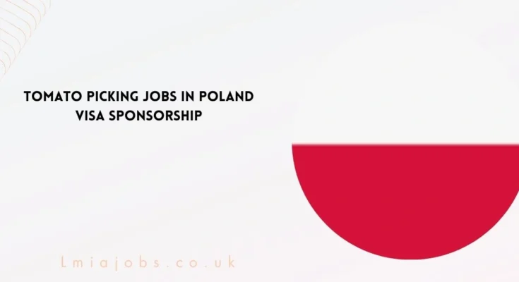 Tomato Picking Jobs in Poland