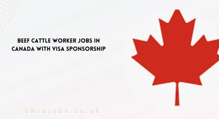 Beef Cattle Worker Jobs in Canada