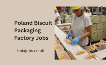 Poland Biscuit Packaging Factory Jobs