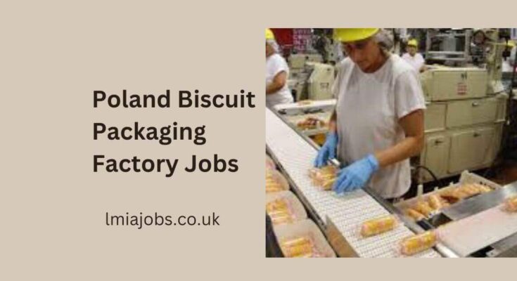 Poland Biscuit Packaging Factory Jobs