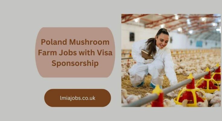 Poland Mushroom Farm Jobs with Visa Sponsorship