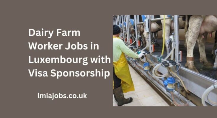 Dairy Farm Worker Jobs in Luxembourg with Visa Sponsorship