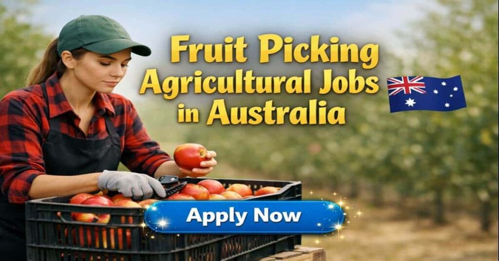 Fruit Picking Agricultural Jobs in Australia