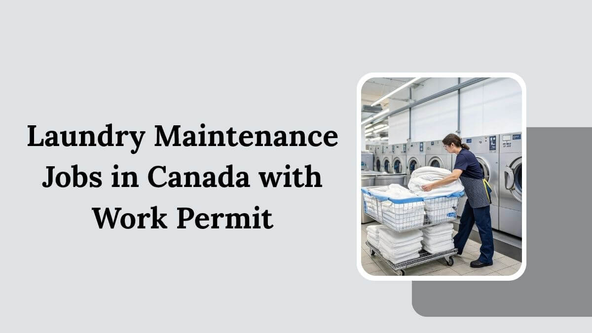 Laundry Maintenance Jobs in Canada with Work Permit