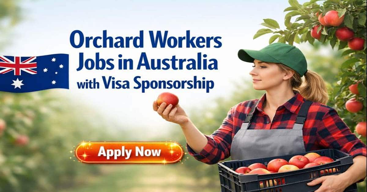 Orchard Workers Jobs in Australia with Visa Sponsorship