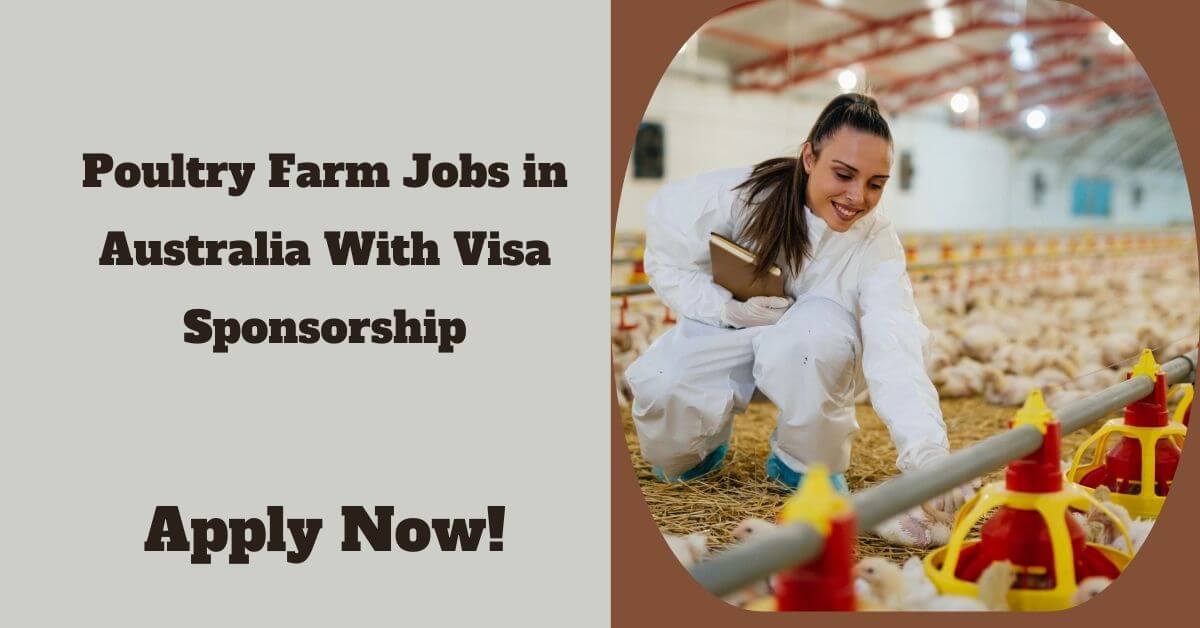 Poultry Farm Jobs in Australia