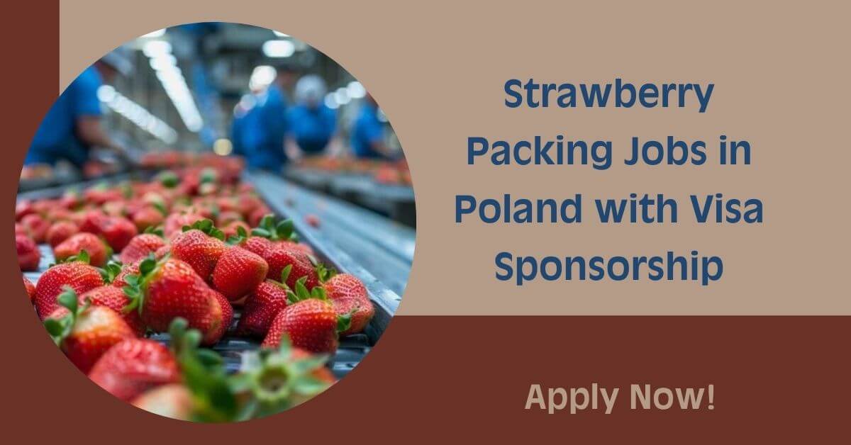 Strawberry Packing Jobs in Poland with Visa Sponsorship