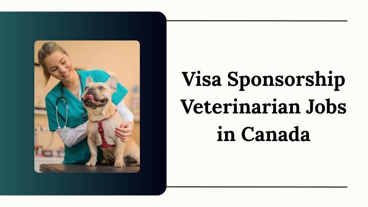 Visa Sponsorship Veterinarian Jobs in Canada