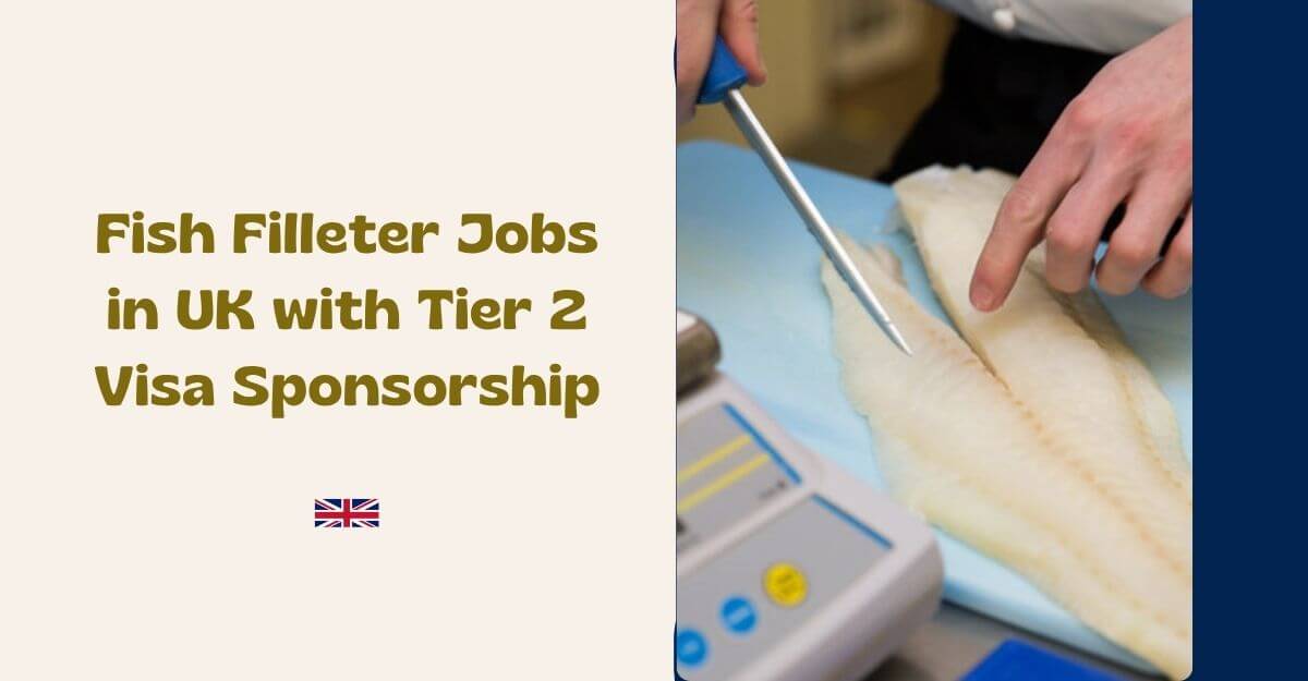 Fish Filleter Jobs in UK with Tier 2 Visa Sponsorship