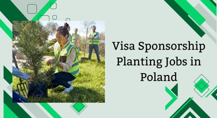 Visa Sponsorship Planting Jobs in Poland