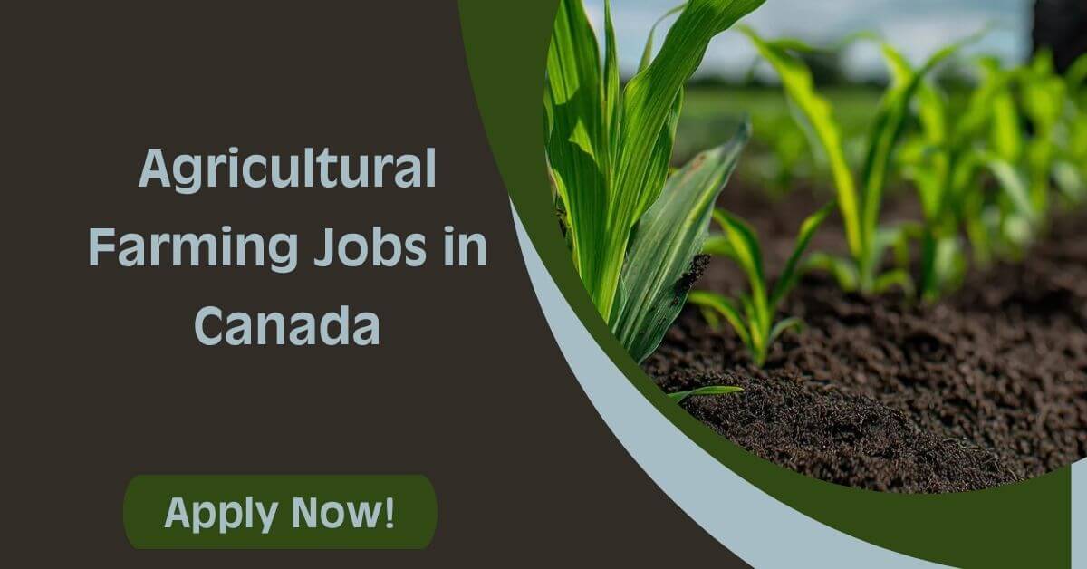 Agricultural Farming Jobs in Canada