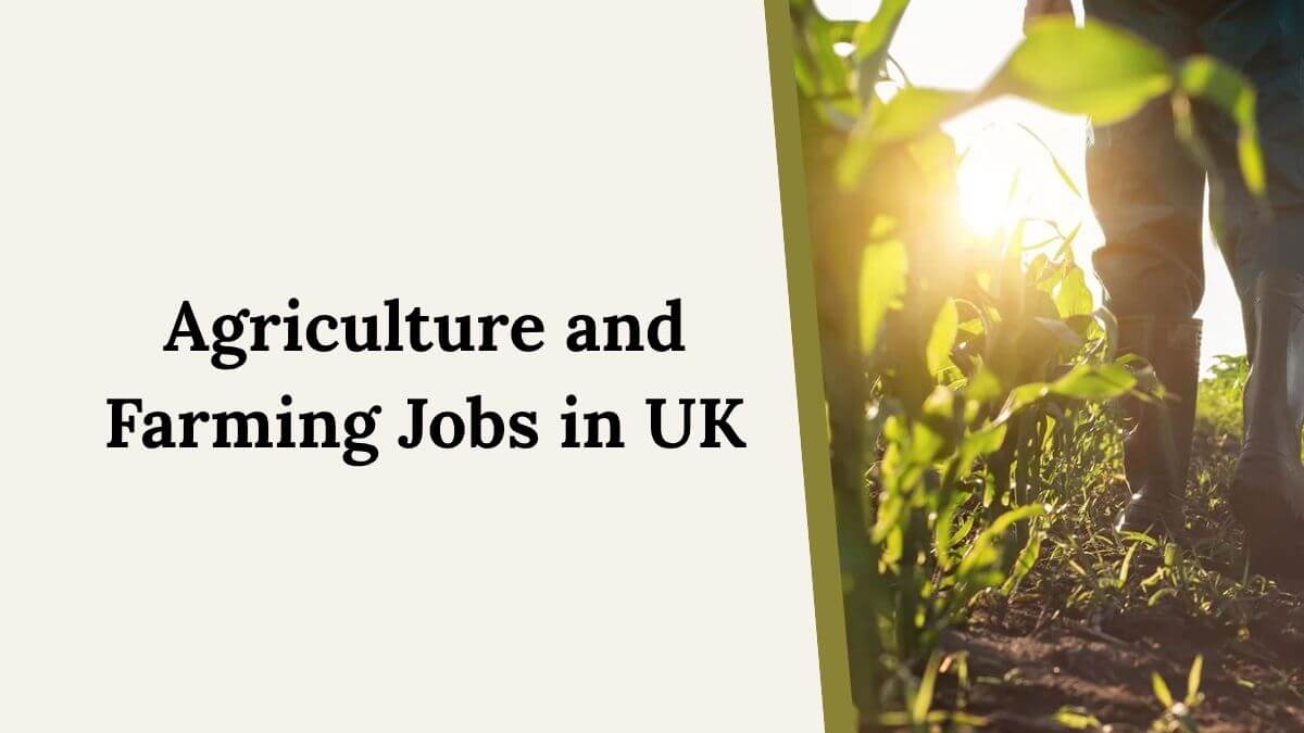 Agriculture and Farming Jobs in UK