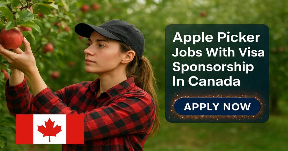 Apple Picker Jobs With Visa Sponsorship In Canada
