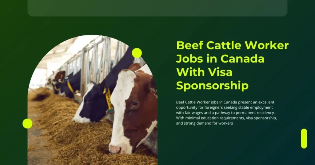 Beef Cattle Worker Jobs in Canada
