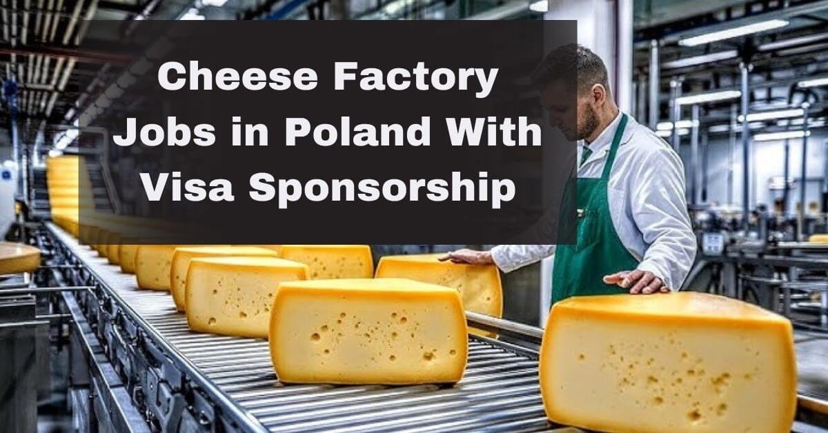 Cheese Factory Jobs in Poland With Visa Sponsorship