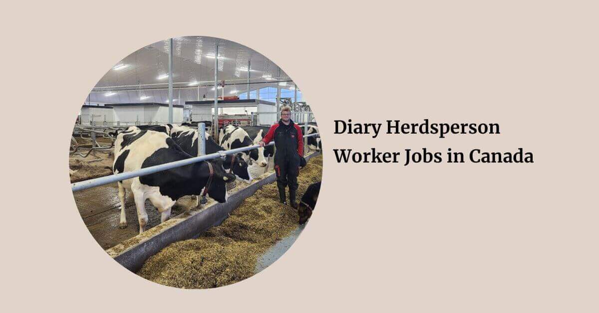 Diary Herdsperson Worker Jobs in Canada