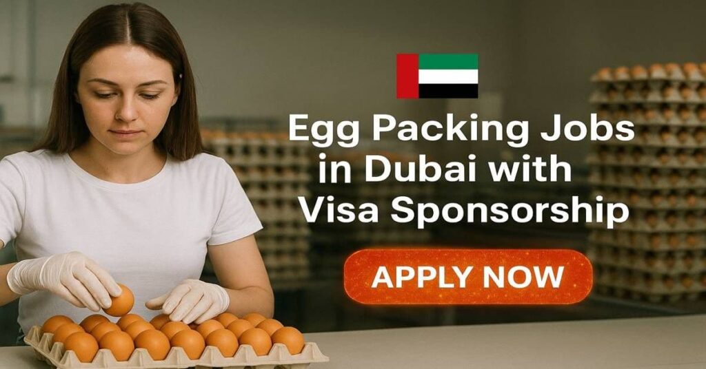 Egg Packing Jobs in Dubai with Visa Sponsorship