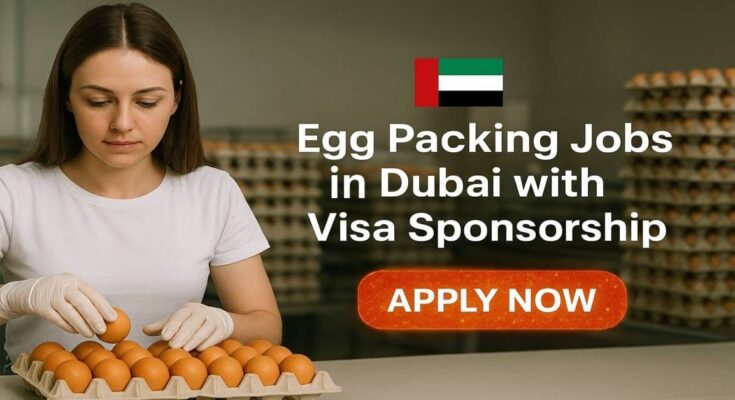 Egg Packing Jobs in Dubai with Visa Sponsorship
