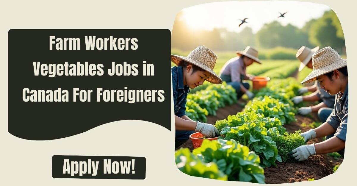Farm Workers Vegetables Jobs in Canada For Foreigners