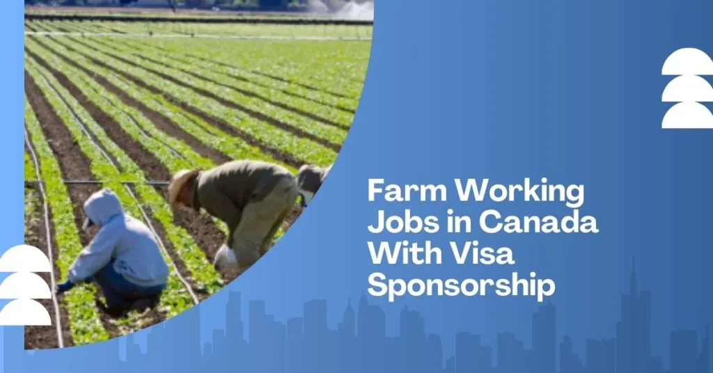 Farm Working Jobs in Canada