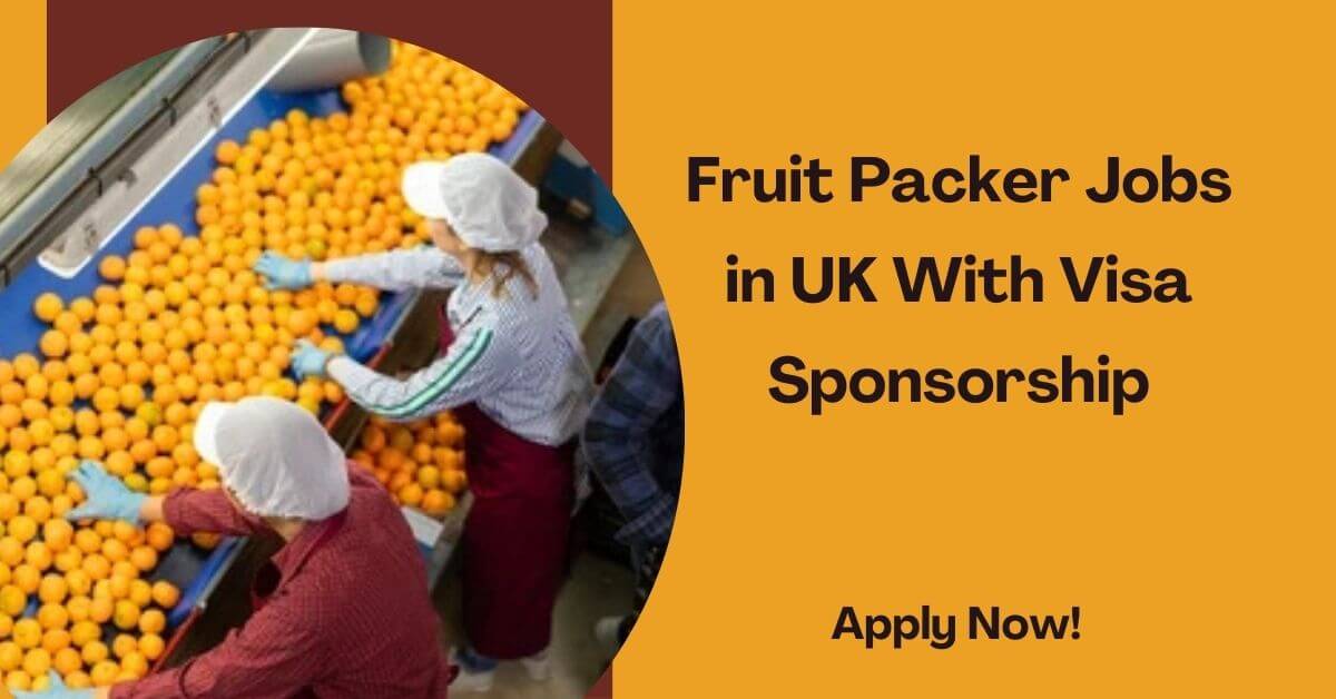 Fruit Packer Jobs in UK With Visa Sponsorship
