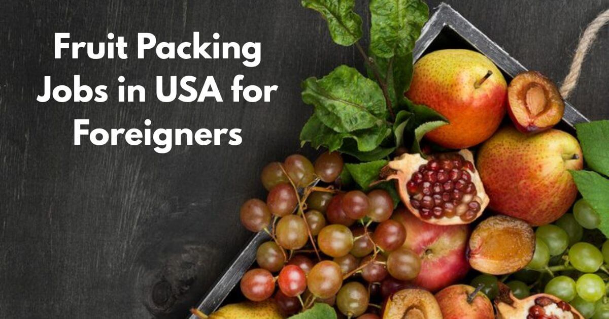 Fruit Packing Jobs in USA for Foreigners
