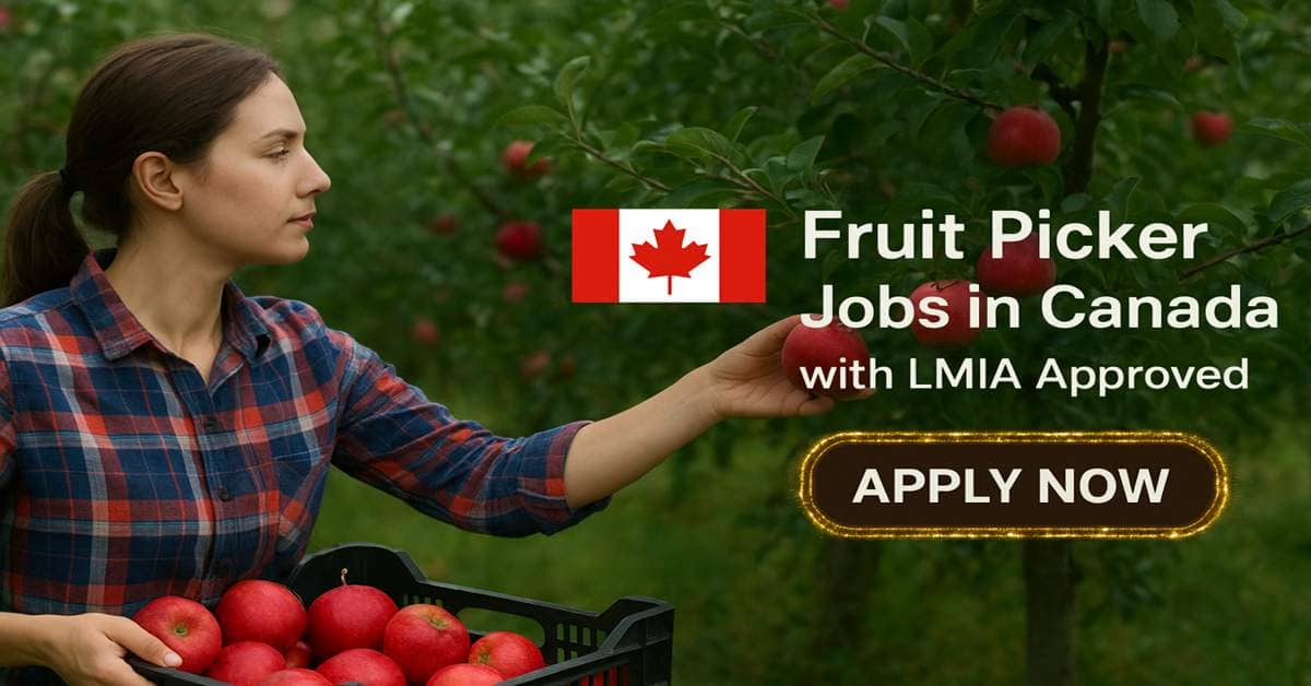 Fruit Picker Jobs in Canada with LMIA Approved